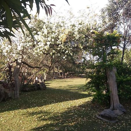 Pousada Sitio Da Serra カランカス エクステリア 写真